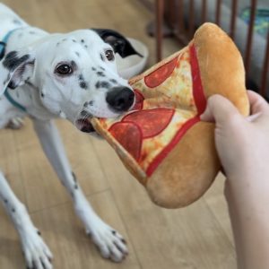 Hondenknuffel spelen trekken