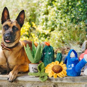 P.L.A.Y. Blooming tuinknuffels - Hondenspeelgoed - Afbeelding 10
