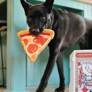 P.L.A.Y. Snack & Snoepknuffels - Chips, Pizza, Cola, Softijs & Lolli hondenknuffel knuffel hond herder
