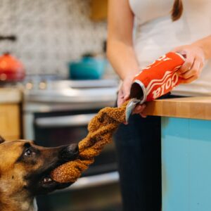 P.L.A.Y. Snack & Snoepknuffels - Chips, Pizza, Cola, Softijs & Lolli hondenknuffel knuffel hond herderhond