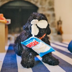 P.L.A.Y. Snack & Snoepknuffels - Chips, Pizza, Cola, Softijs & Lolli hondenknuffel knuffel hond spelen