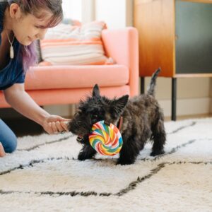 P.L.A.Y. Snack & Snoepknuffels - Chips, Pizza, Cola, Softijs & Lolli hondenknuffel knuffel hond terrier