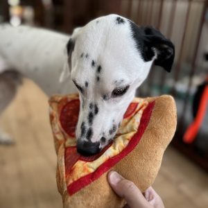 Pizzaknuffel hondenknuffel pizza
