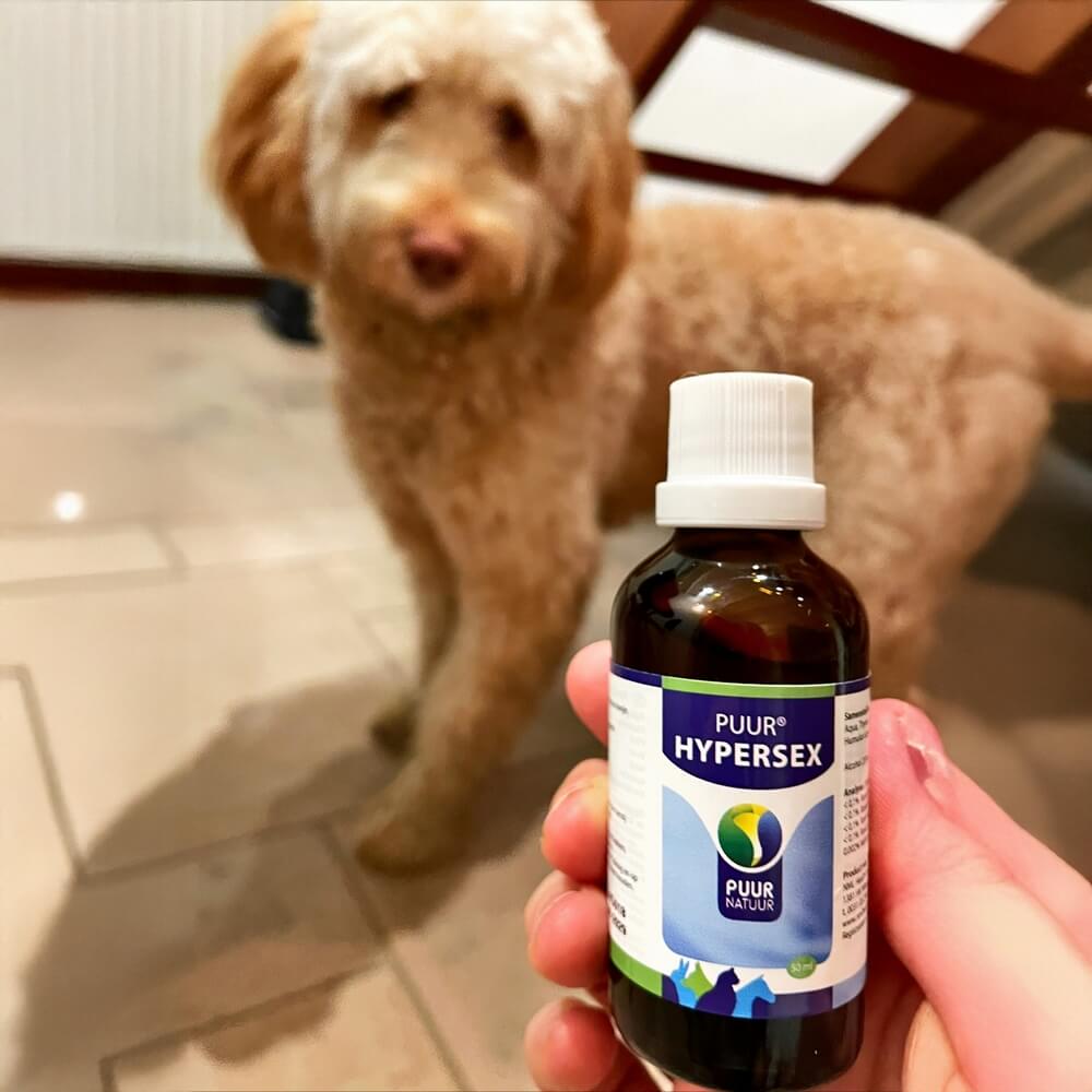 hypersex druppels hond ervaringen