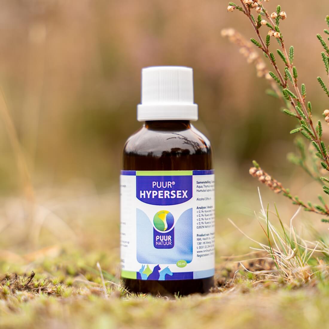 reu kalmeren bij loopse teef