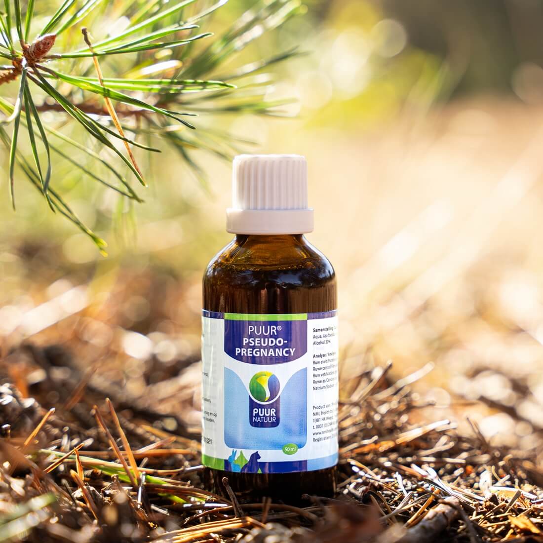 schijnzwanger hond medicatie