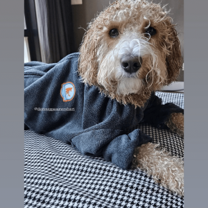 Badjas hond met poten