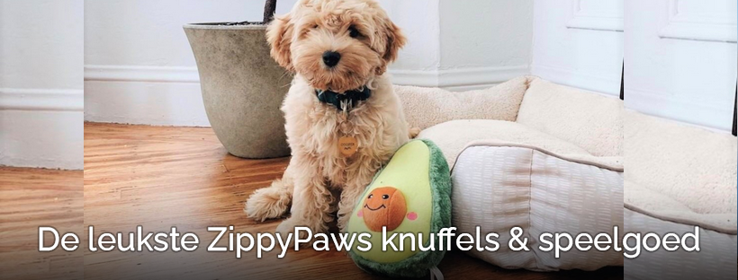 Wat zijn de leukste ZippyPaws hondenspeelgoed, speeltjes & knuffels?