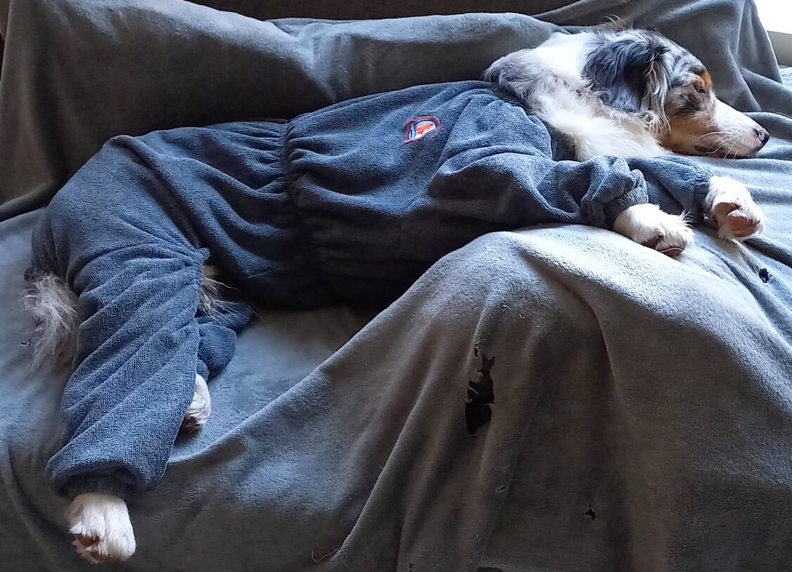 Een badjas voor de hond met pootjes