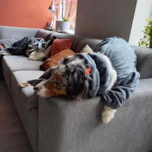 Een hondenbadjas met pootjes