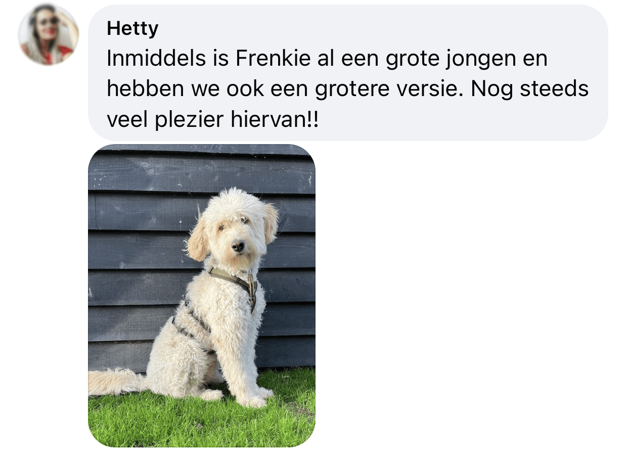 Ervaring Safety tuigje hond