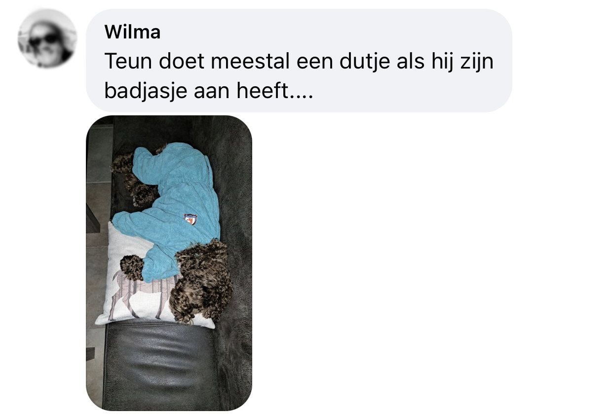 Ervaring groomcoat hond