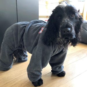 Groomcoat badjas hond pootjes cocker spaniel maat S