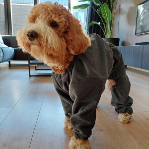 Labradoodle groomcoat badjas hond hondenbadjas bedekt met mouwen poten