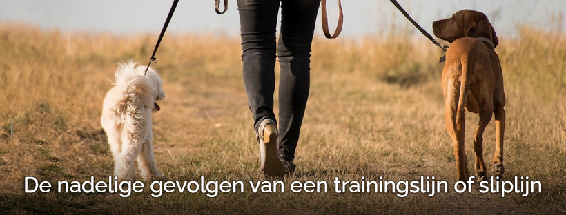 Daarom is een trainingslijn of sliplijn slecht voor je hond!