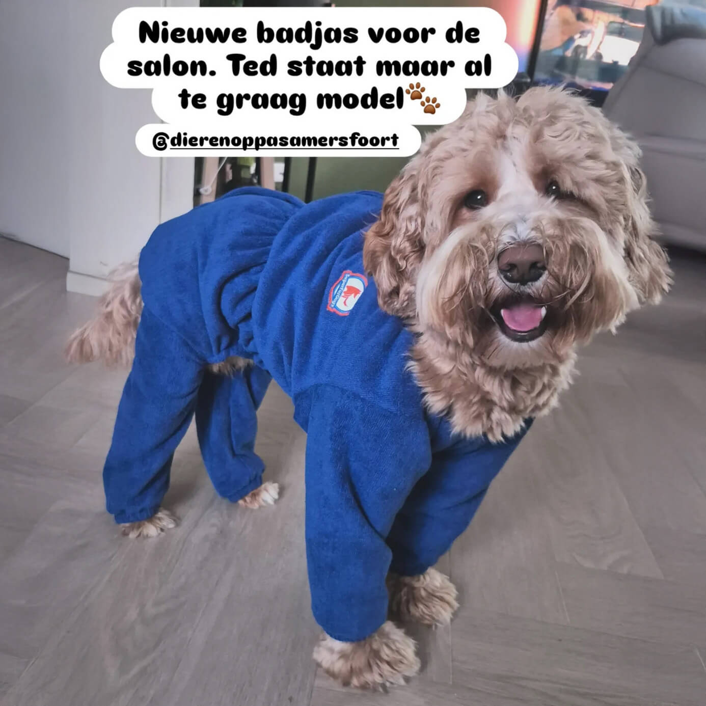 badjas hond met poten