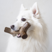 Benebone Maplestick Esdoornhout houten kluif hond houtenkluif foto4
