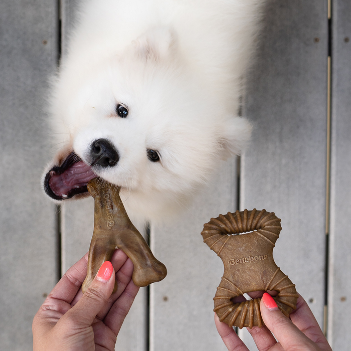 Benebone Puppypack Puppy Pack botjes kluifjes voor wisselen pup kauwbot foto3