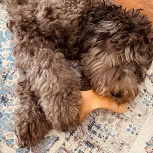 Benebone gebogen kauwbotten nylonbone nylabone hond