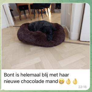 Donutmand chocolade bruin hond donut mand