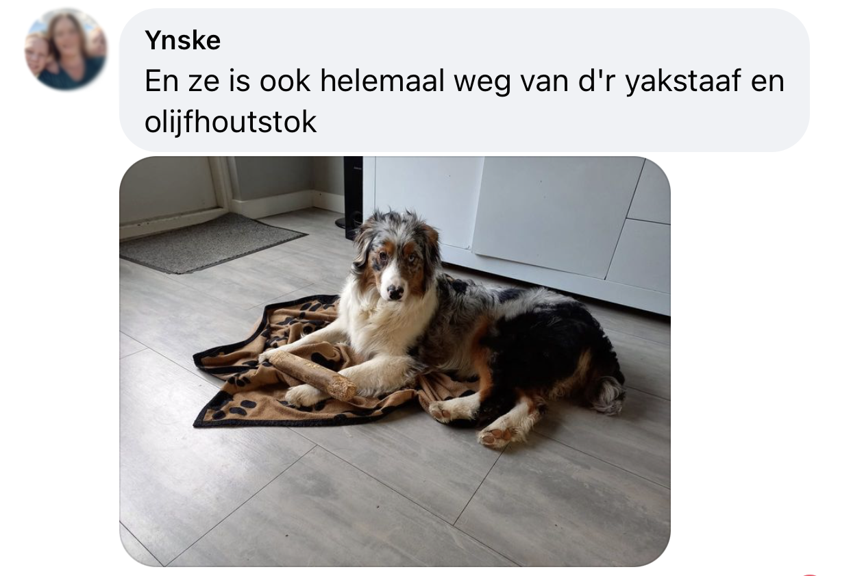 Ervaring olijfhout olijfwortel hond splinteren