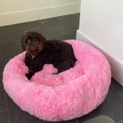 Fluffy donutmand roze labradoodle puppy puppymand zacht dik