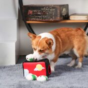 Foodie Japan Bento Box rijstballetjes Japans eten hond