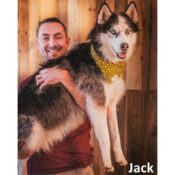 Mooie unieke hippe hondenbandana's honden bandana's online kopen type Jack