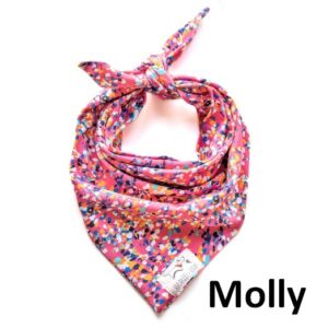 Mooie unieke hippe hondenbandana's honden bandana's online kopen type molly