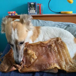 Runderkophuid plaat XL hondensnack gaat extra lang mee ervaringen