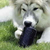 SodaPup Toy Magnum Can Blikje Cola natuurrubber stevig rubber hondenspeelgoed Soda Pup hond husky