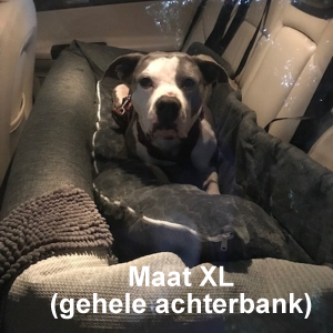 Automand grote hond