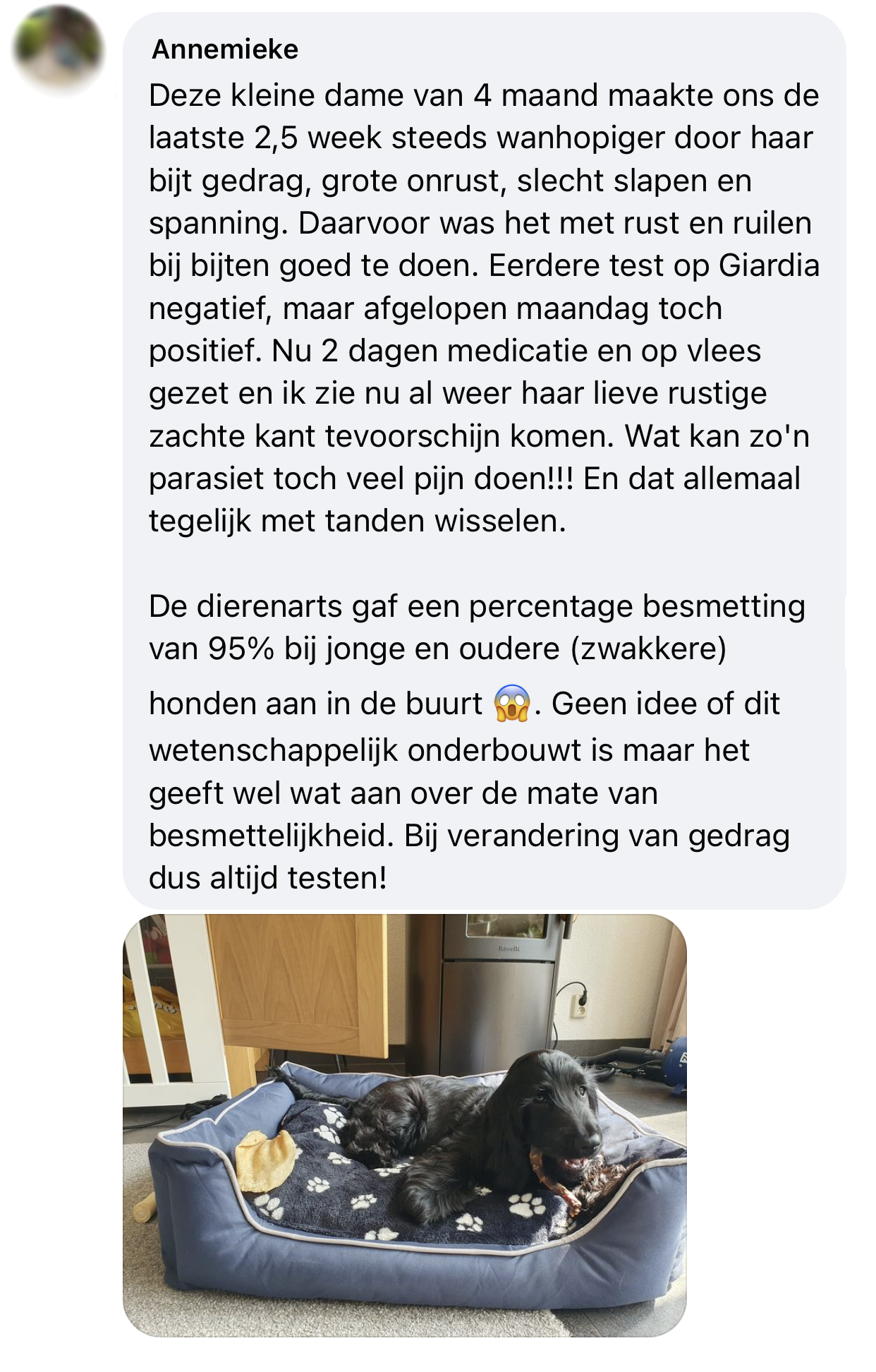 Giardia invloed gedrag bijterig geprikkeld puppy