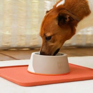 Melamine voerbak voor honden zandkleur oranje