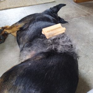 Zooro Zero Waste grooming tool borstel hondenborstel kortharige hond losse haren