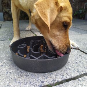 Bamboo Bamboe Anti-schrokbak voerbak voor honden tegen schrokken ervaringen