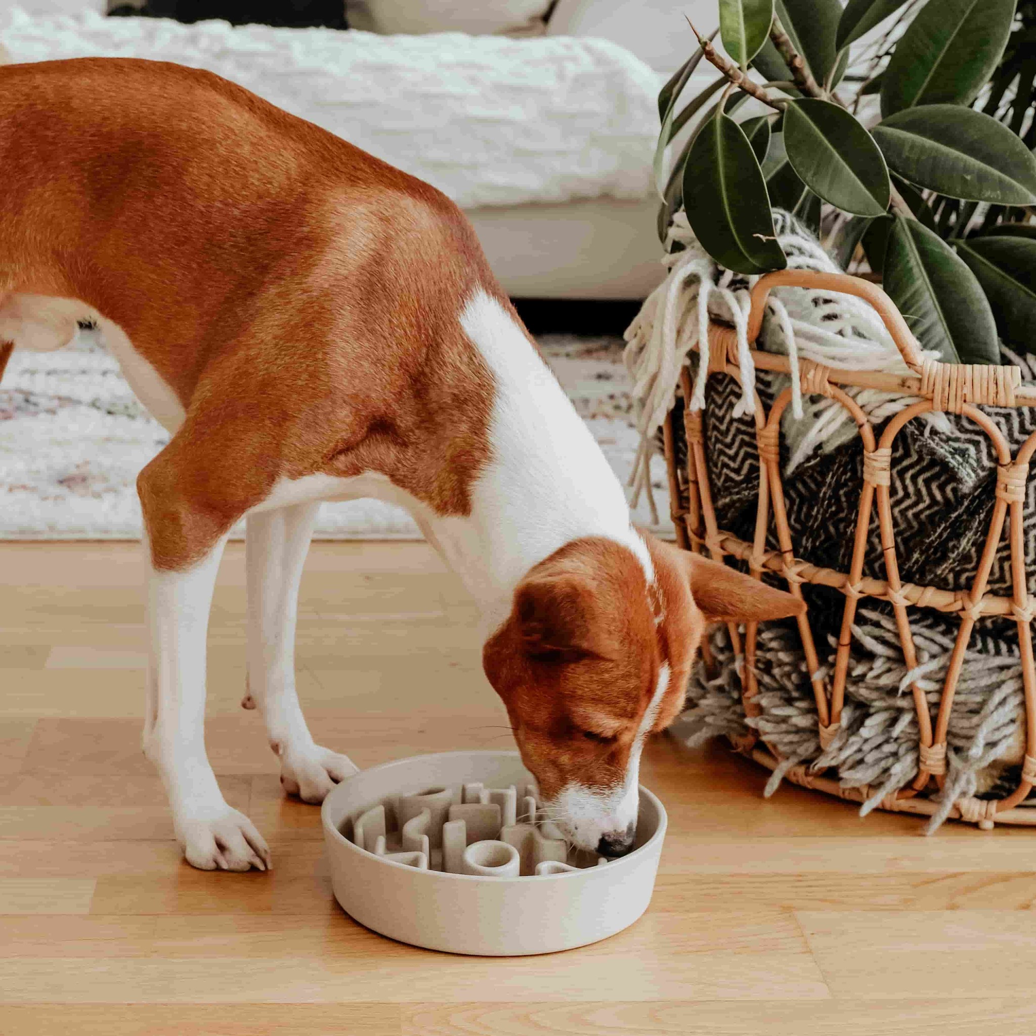 Bamboe voerbak voor honden