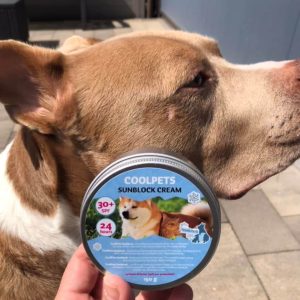 Zonnebrandcreme hond zonnebrand creme hond