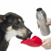 KONG waterbottle drinkfles waterflesje hond drinken water fles bakje