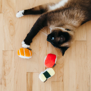PLAY PLAYPET cat katten knuffels sushi catnip kattenkruid siamees