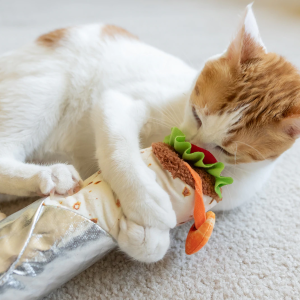 PLAY PLAYPET cat katten knuffels wrap burrito catnip kattenkruid kitten