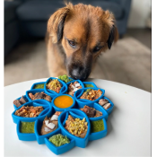 SodaPup Mandala tray voerpuzzel hond puppy blauw