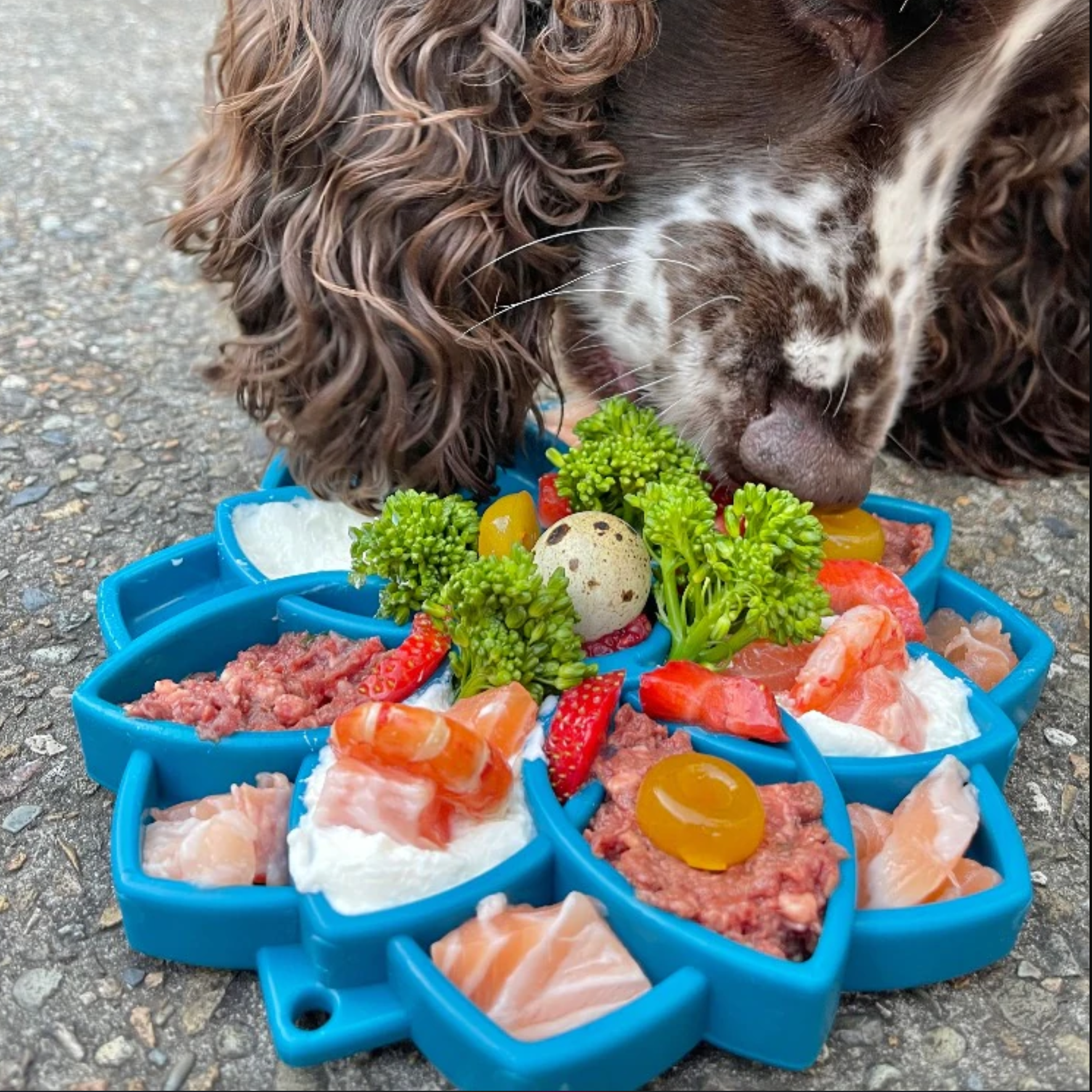 SodaPup Mandala tray voerpuzzel hond puppy voorbeeld gevuld blauw