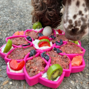 SodaPup Mandala tray voerpuzzel hond puppy voorbeeld roze