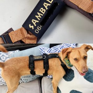 AnnyX hondentuig met naam tuigje hond naam telefoonnummer hondenharnas naamtag
