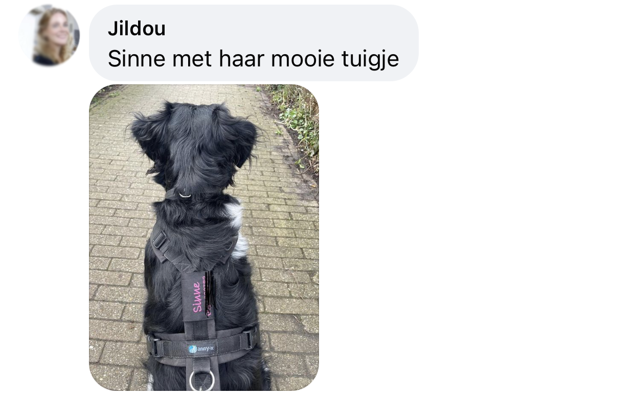 Ervaring naamtag hond