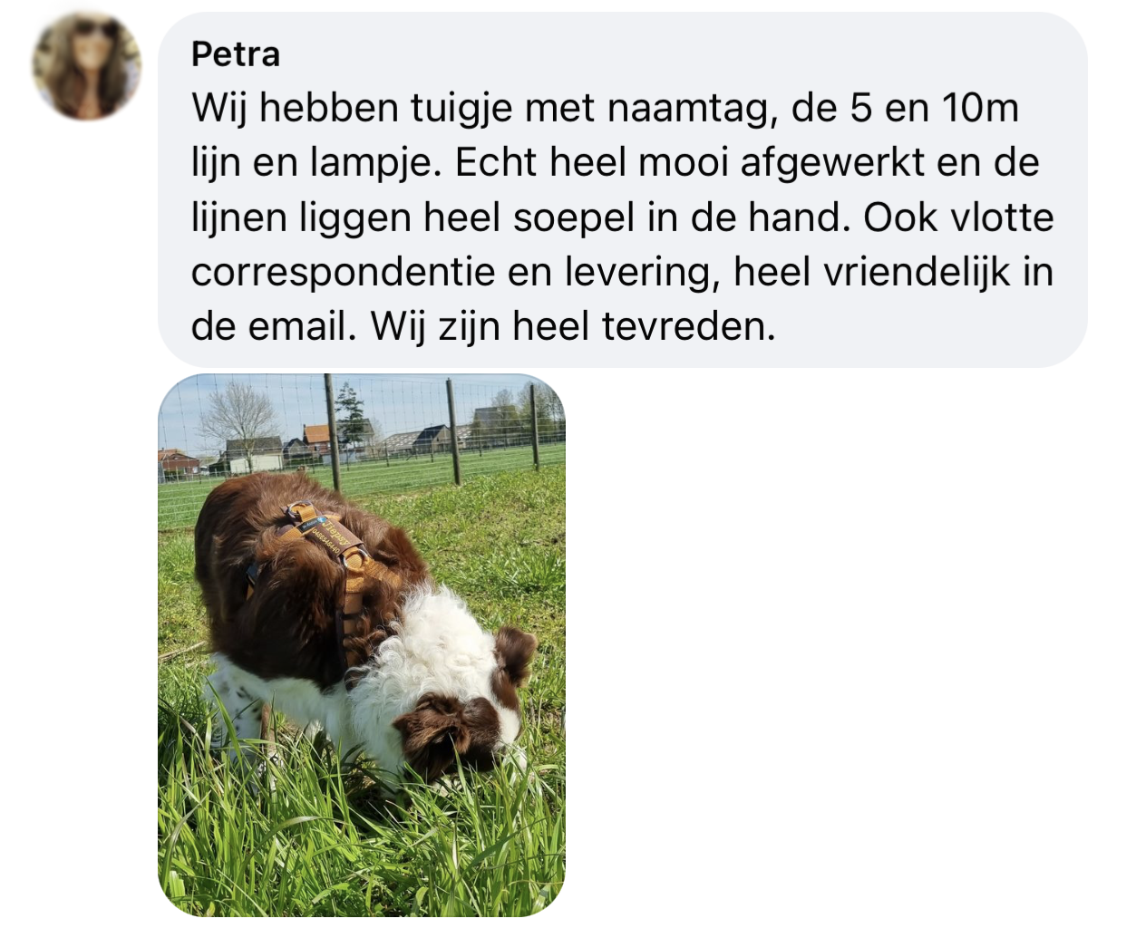 Ervaringen naamtag hondentuig met naam grote hond