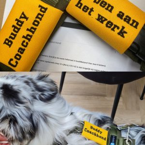 Hulphond tekst op tuig harnas coachhond coach hond labels