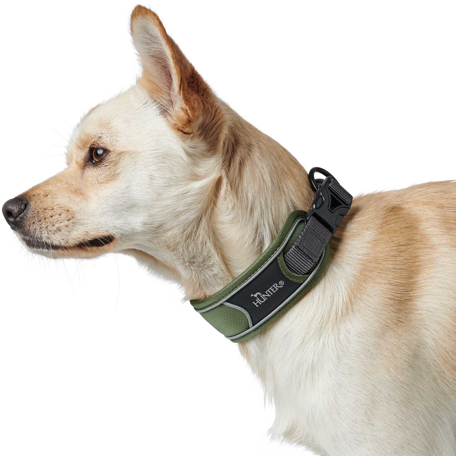 Voorkeur Trekken In werkelijkheid Luxe design honden halsbanden van Hunter