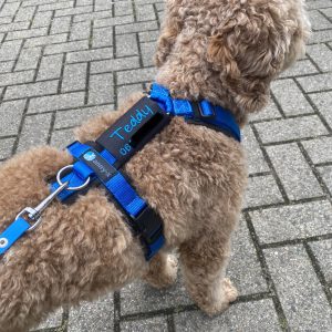 Naamtag gepersonaliseerd hondentuig tuigje met naam en telefoonnummer tekstlabels naamlabel penning labels halsband blauw